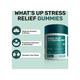 What's Up Wellness Stress Relief Gummies 30's - Others