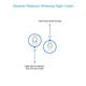 Swiss Image Absolute Radiance Whitening Night Cream 50 ml - Night Cream