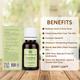 Bella Vita Organic Tea Tree Essential Oil 15 ml - Massage Oils