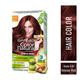 Garnier Color Naturals Creme Riche Color, Shade 6.60 Intense Red (70ml + 60gm) 1's - Crème
