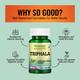 Morpheme Remedies Triphala 500mg Extract 60's - Herbal Dietary Supplement