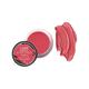 Love Earth Lip & Cheek Tint Multipot-Be The Change with Richness Of Jojoba Oil 8 gm - Blushes
