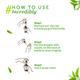 Atulya Tea Tree Essential Oil 15 ml - Hair Lotions & Tonics