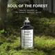 Maison Margiela Soul Of The Forest EDP 100 ml - Perfumes (Edt/Edp)
