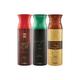 Ajmal Sacredlove Sacrificeii Wisaldahabdeo 600 ml - Deodorants/Roll-Ons