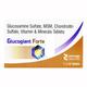 GLUCOGIANT FORTE Tablet 10's - Supplements-Sup