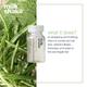 milk shake energizing blend scalp treatment 48 ml - Hair Treatment