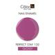 Color Fx PERFECT STAY 120 9 ml - Nail Polish