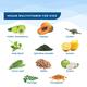 Wellbeing Nutrition Marvel Captain America Melts Kids Organic Multivitamin with Vitamin A B-Complex C D -30 Strips - Multi-Vitamins