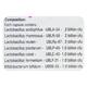 TOTALIS Capsule 14's - Diarrhoea-Ant