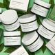 Innisfree Derma Green Tea Probiotics Cream 50 ml - Face Moisturizers