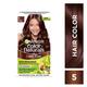 Garnier Color Naturals Creme Hair Color, Shade 5 Light Brown 105.6 Gm - Crème