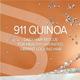 Biotop Professional 911 Conditioner Quinoa 500 ml - Conditioners