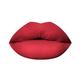 PAC Timeless Matte 12H Longlasting Rich Pigment One Swipe Payoff Smudgeproof - Taunty (6.5 ml) - Liquid Lipsticks
