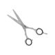 Vega Professional Micro Cut 5' Silver Line Hairdressing Scissor (VPVSC-22) 1's - Grooming Kits