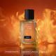 Mcaffeine Fien Fierce Perfume For Men- Citrusy EDP, 12 Hrs Long Lasting Scent For All Occasion 100 ml - Men Perfumes (Edt/Edp)