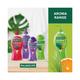 Palmolive Aroma Morning Tonic Body Wash Showergel Single Pump Bottle 750 ml (N) - Shower Gels & Body Wash