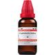 Dr.Willmar Schwabe Cephalandra Indica Ø Drops 30 ml - Homeopathic Drops