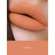Miss Rose Long Lasting Mettalic LipGloss 7701 - 026M 24 20 gm - Lip Glosses