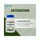 Healthvit Artemisinin Veggie Capsules 60's - General Health