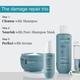 Bare Anatomy Damage Repair Shampoo + Hair Mask + Serum Kit (250ml + 250gm + 50ml) 1's - Shampoos
