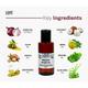 Love Earth Organic Onion Hair Oil 100 ml - Hair Oils