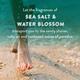 Find Your Happy Place Sunkissed Ocean Waves Souffle Body Butter Sea Salt & Water Blossom 200 gm - Body Butter