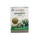 Patanjali Isabgol Powder 100 gm - Speciality Medicines