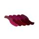 Swiss Beauty Matte Lip Palette - (Shade-2) 12 gm - Lipsticks