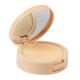 Matt Look Perfect Look Powder 2 in 1 Formula Oil Control, Powder + Base Concealer, Ivory 20 gm - Compact Powder