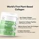 Wellbeing Nutrition Vegan Pro Collagen, Clinically Proven Plant Based Collagen Peptides Gotu Kola, Ginseng, Vitamin C and E - Lemon Lime Flavour 200 g - Multi-Vitamins
