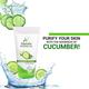 Alainne Cucumber Extract Facewash Gel 150 gm - Face Washes