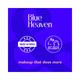Blue Heaven Fresh & Flawless Hydrating Skin Tint Rose Vanilla 28 ml - Foundation