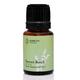 Februus Organics Pure Essential Oil - Sweet Basil 10 ml - Essential Oils