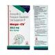 Mega CV Dry Syrup 30ml - Bacterial Infections-Pen