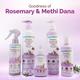 Mamaearth Rosemary Anti-Hair Fall Shampoo with Rosemary, Methi Dana for Reducing Hair Loss and Breakage 600 ml - Shampoos