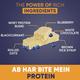 Fitspire Protein Bar Protein No Artificial Sweetener and Flavor Blueberry Flavor 60 gm - Nutritional Bars