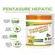 PentaSure Hepatic Nutritional Powder - Creamy Vanilla Flavour 400 g - Protein Drink