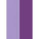 MyGlamm 2IN1 Nail Paint-Wine Tasting 1 gm - Nail Polish