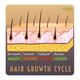 Nature Sure Thumba Wonder Hair Oil 110 ml - Hair Oils