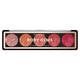 Profusion Cosmetics 5 Shade Glitter Eye Shadow Pallete Ruby Gems (4.5 gm) - Eye Shadow Palettes