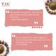 TAC The Ayurveda Co. Triphala & Yashtimadhu with 10% Niacinamide Face Toner 100 ml - Personal Care (Ayush)