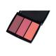 Anastasia Beverly hills Blush Trio 2 - Berry Adore 9 gm - Blushes