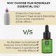 Organic Harvest Tea Tree Essential Oil 30 ml - Essential Oils