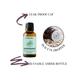 Essentia Extracts Peppermint Essential Oil 15 ml - Essential Oils