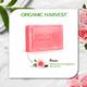 Organic Harvest Luxurious Bathing Bar - Rose, Soap for Moisturized Skin, Rose Scented Bathing Bar 125 gm - Soaps