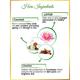 Nutrinorm Nourishing Day Cream 50 gm - Day Cream