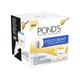 Pond's Honey & Milk Protein Face Cream 100 ml - Face Moisturizers