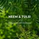 Lotus Botanicals Neem, Tulsi, Salicylic Acid Anti-Acne Purifying Face Gel, For Acne Prone Skin 50 gm - Face Moisturizers