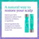 Malibu C Scalp Wellness Collection Kit 560 ml - Hair Treatment